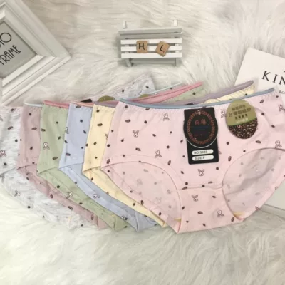 少女兔子咖啡紗底部抗菌內褲