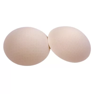 Soft Light舒芙蕾 蜂巢透氣全罩襯墊【佳瑪】膚/黑膚