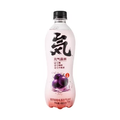 元氣森林氣泡水 480ml 白桃 荔枝 葡萄 石榴紅樹莓 櫻花白葡萄 可樂 草莓 抖音 小紅書 人氣商品口味:葡萄